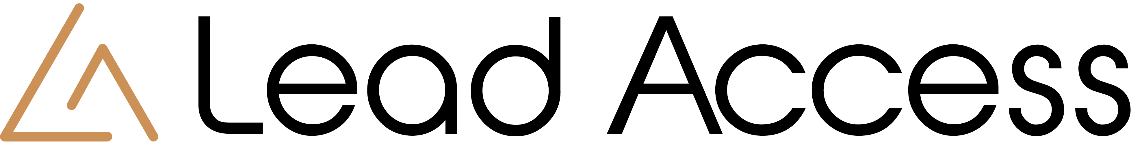 Lead Access Logo