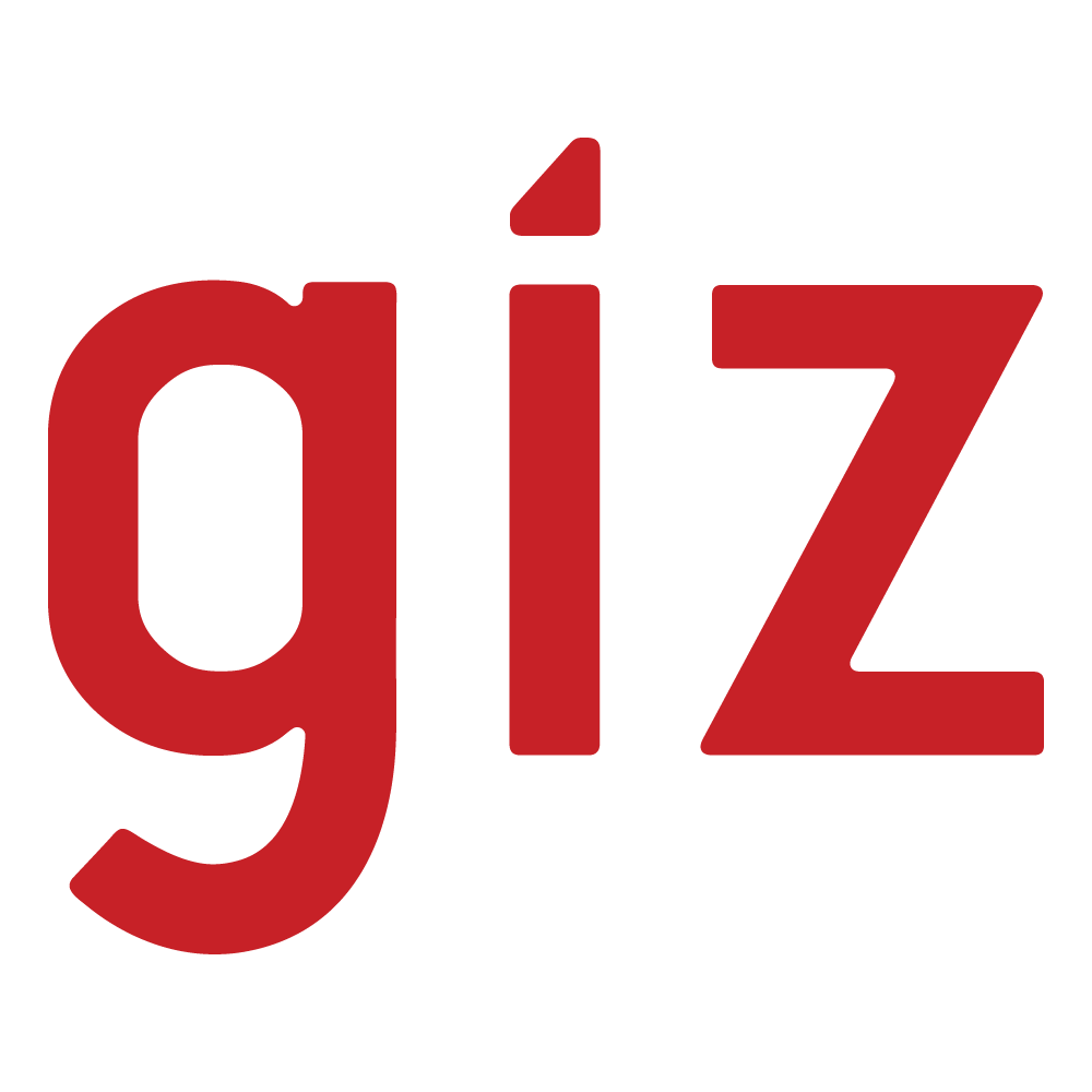 GIZ Logo